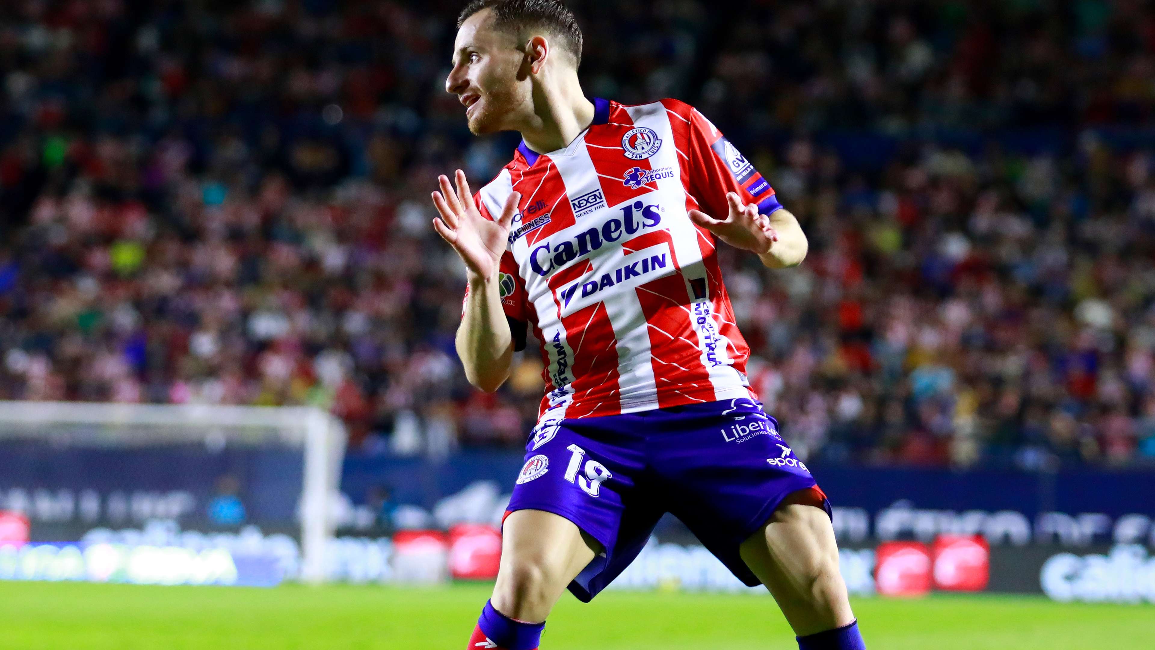 在赛场上的 在赛场上的